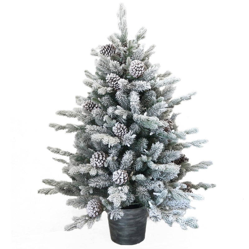 Snowy Dorchester Pine 4ft Tree SILVER Pot