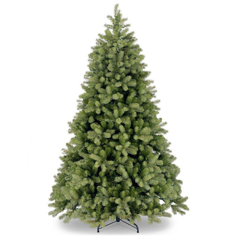 Bayberry Spruce 5ft Tree